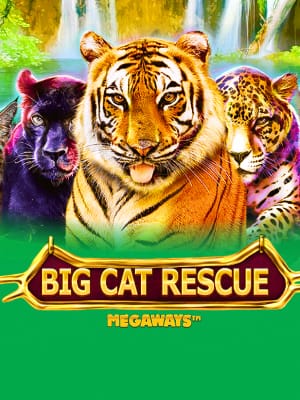 Rescate de Felinos Megaways™