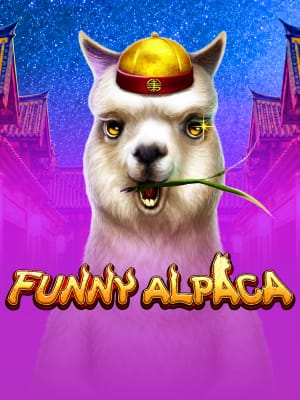 Alpaca Divertida